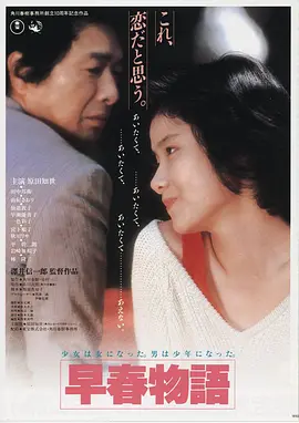 影院在线高清电影《雾港回声》海报